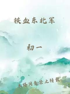铁血东北军